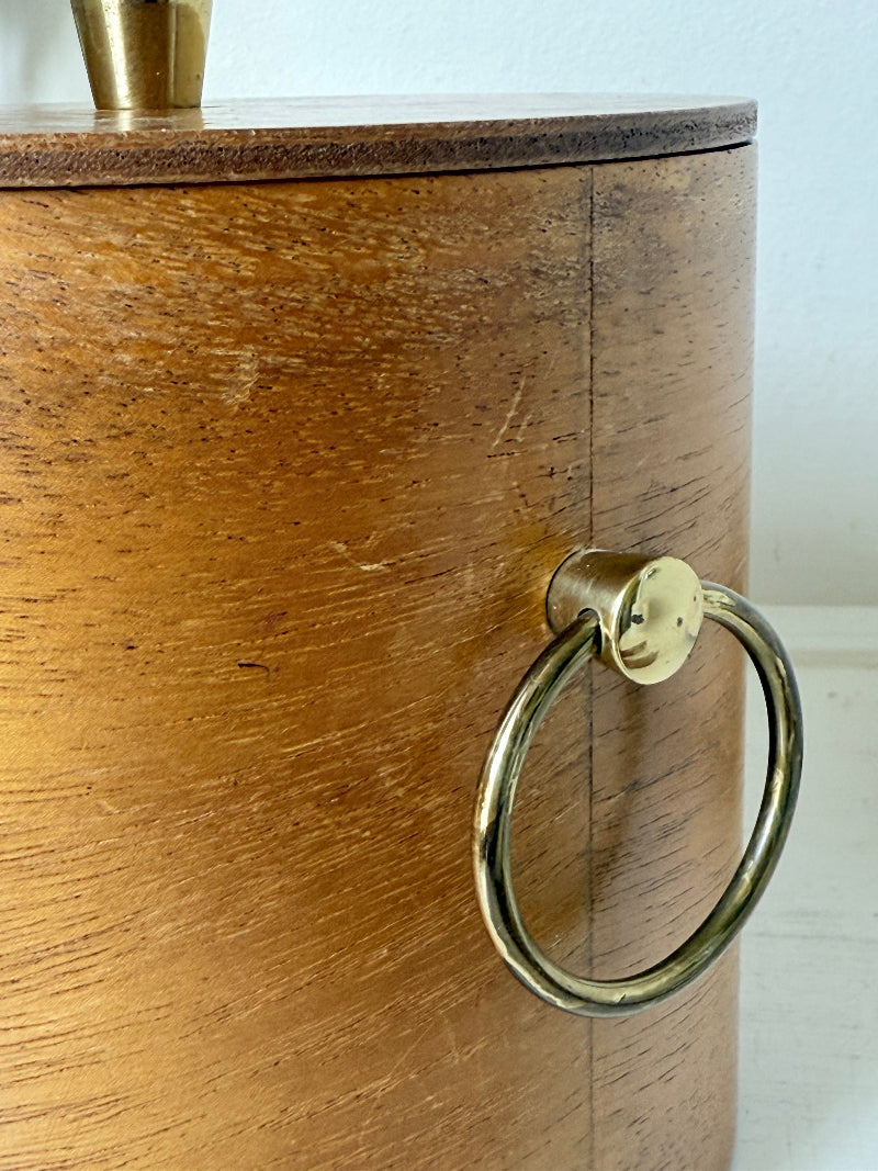 Mid century bent plywood icebox with brass handle and matching wooden tongs, styled on a white surface with dried foliage.