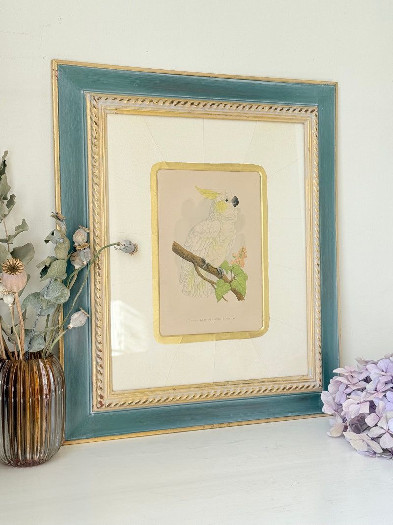 Framed cockatoo bird print in green and gold frame with mount, styled on white surface with vintage books