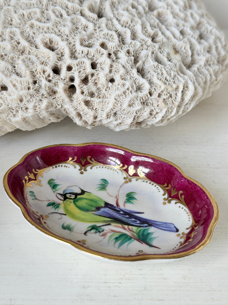 Vintage hand painted bird trinket dish with pink border and gilt detail photographed on a white surface