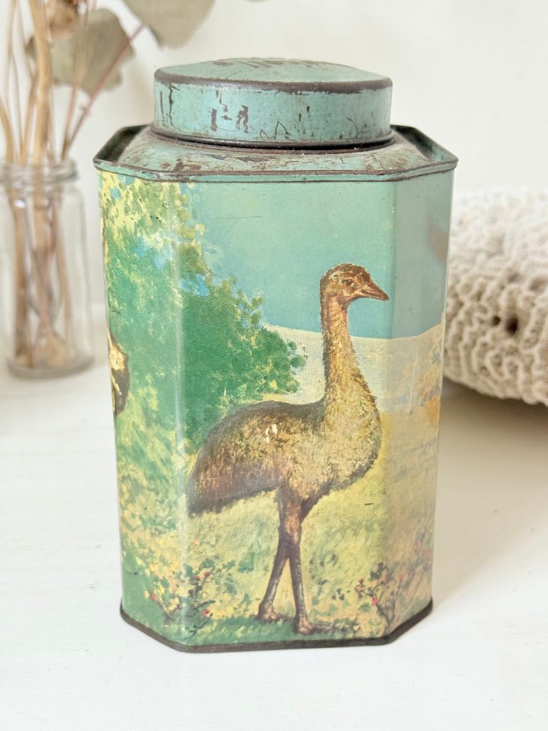 Vintage Bushells metal tea box featuring kangaroo, koala, and emu illustrations photographed on a white surface.