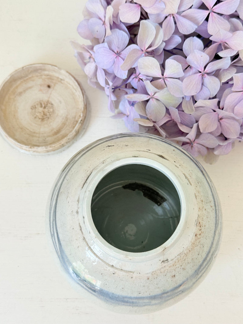 Antique Chinese ginger jar with blue brushwork, photographed on a white surface with vintage books and hydrangeas