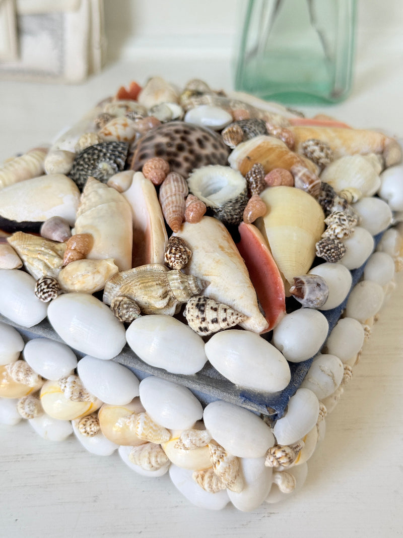 A square decorative tray or plate covered with white pebbles and assorted seashells, photographed on a light tabletop with a soft blurred background.