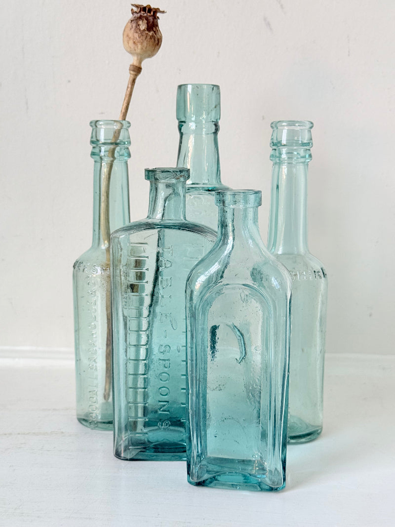 Set of five antique aqua glass bottles with embossed lettering, photographed on a white surface with dried stems