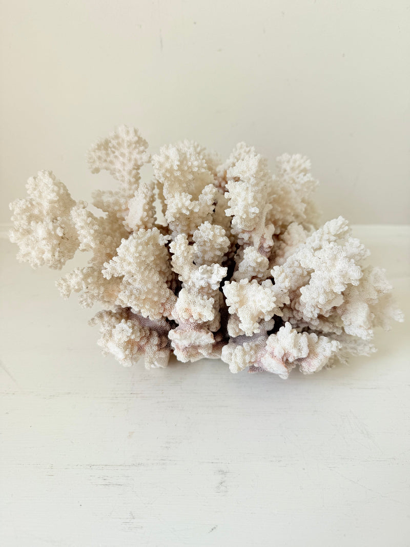 Large vintage white coral ornament with intricate texture, photographed on white surface