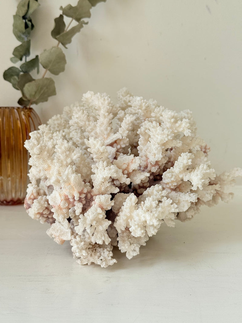Large vintage white coral ornament with intricate texture, photographed on white surface