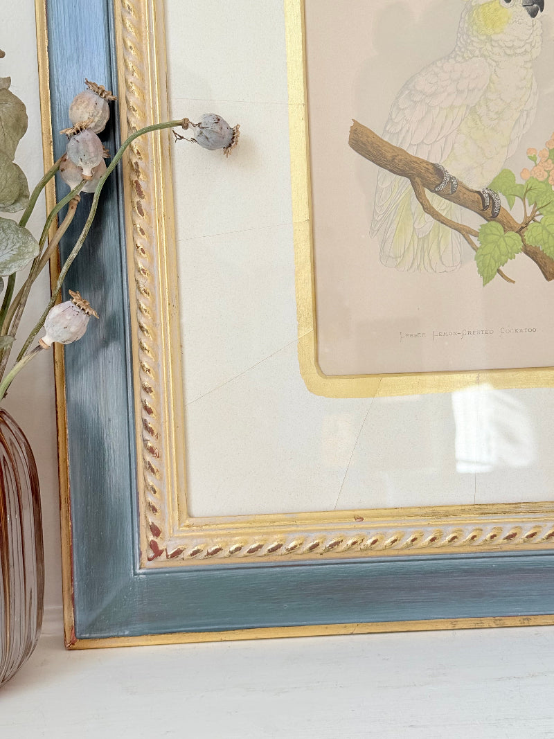 Framed cockatoo bird print in green and gold frame with mount, styled on white surface with vintage books