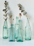 Set of five antique aqua green glass bottles with embossed lettering, photographed on a white surface