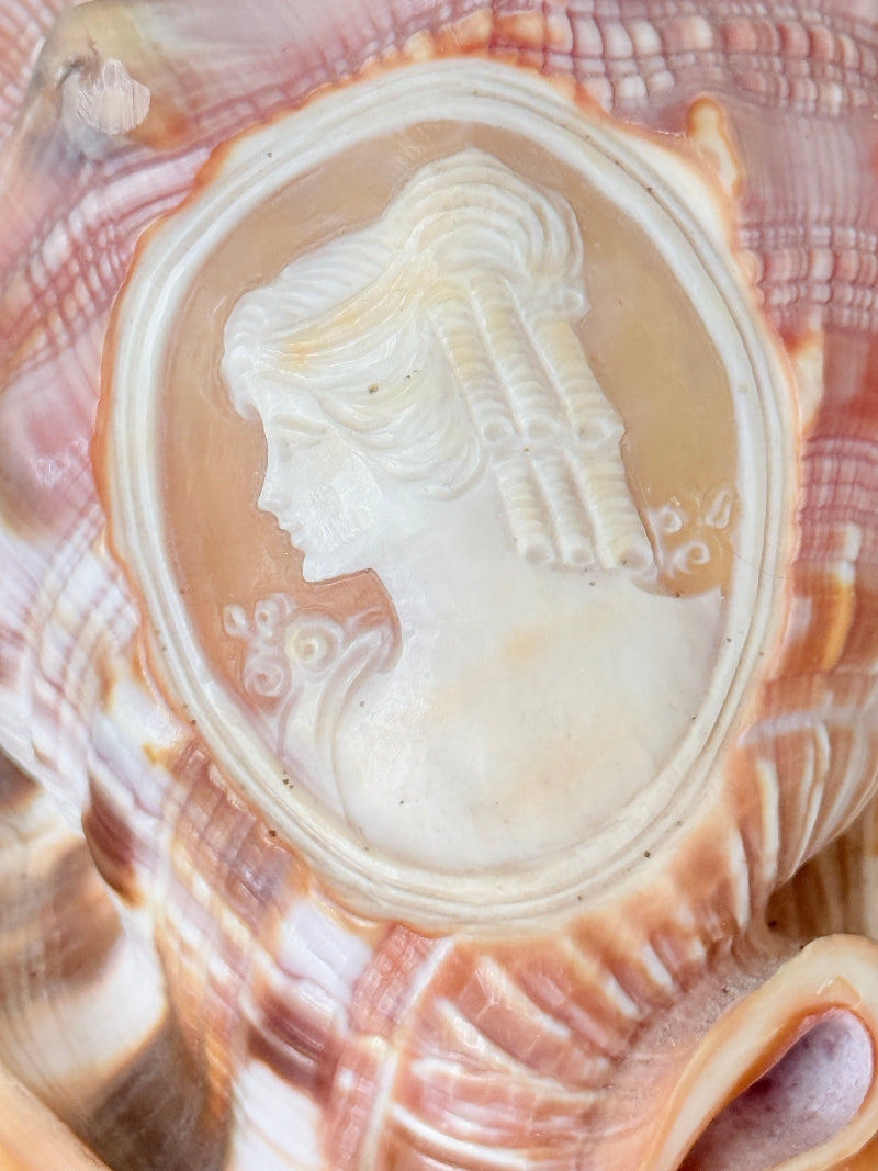 Hand carved cameo helmet shell with a classical female profile in pale relief on pink and brown