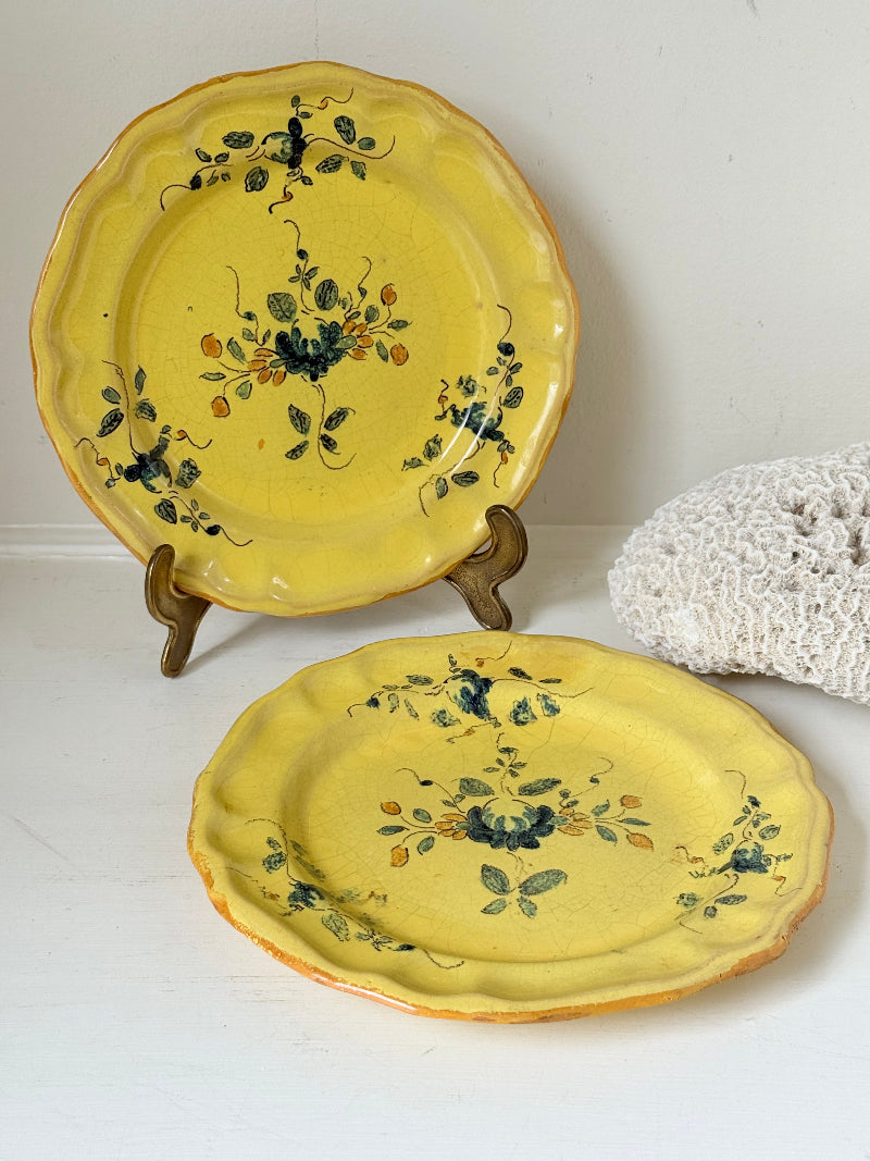 Pair of vintage yellow French faïence plates with hand painted blue floral design, photographed on a white surface