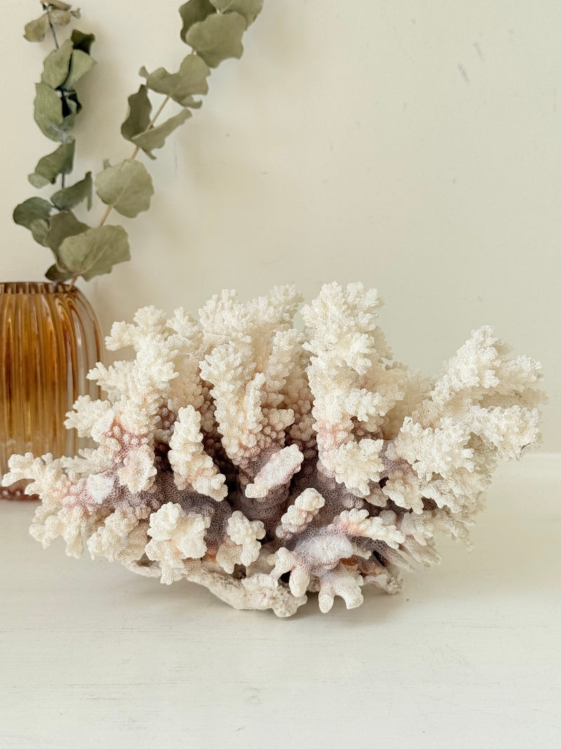 Large vintage white coral ornament with intricate texture, photographed on white surface