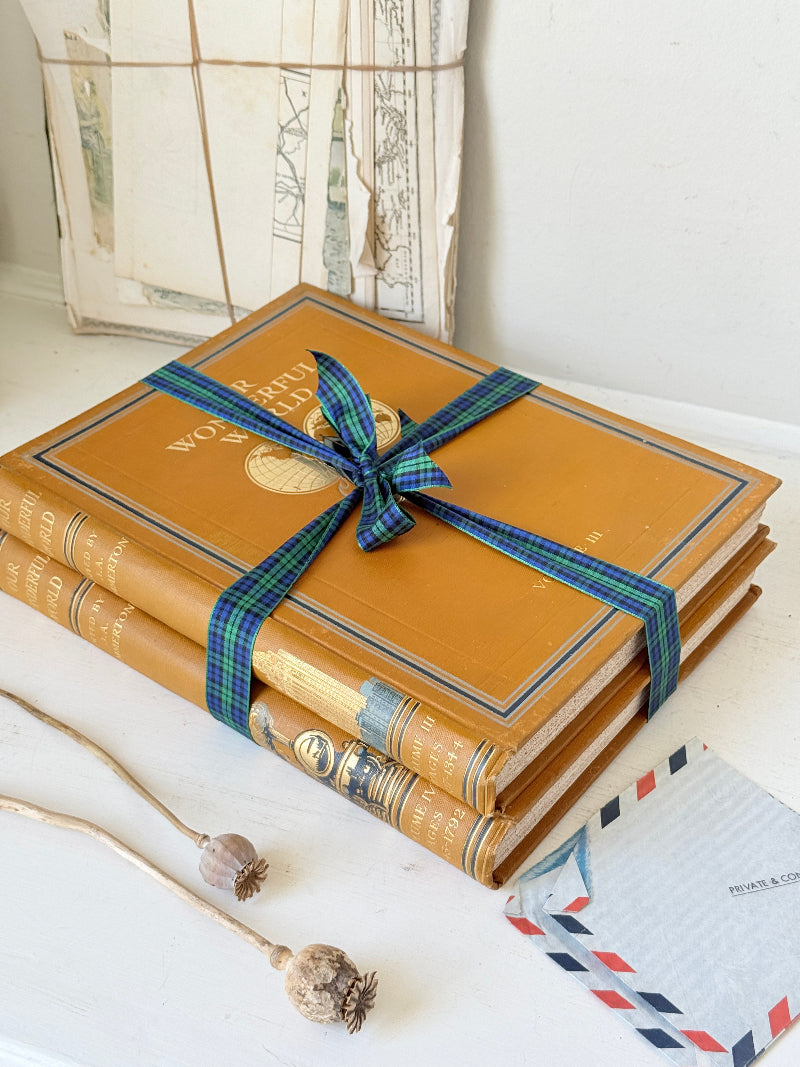 Pair of vintage Our Wonderful World books edited by J. A. Hammerton with mustard cloth covers, gilt lettering and blue decorative bands