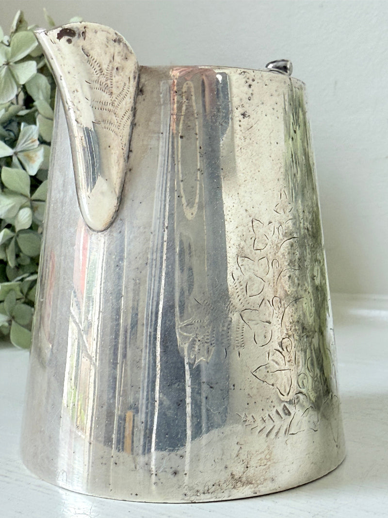 vintage silver plate jug with curved handle photographed on white surface with green hydrangeas