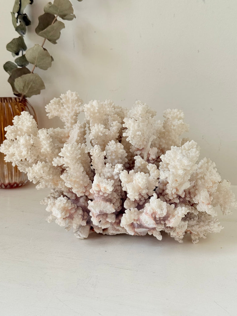 Large vintage white coral ornament with intricate texture, photographed on white surface