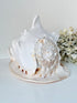 Vintage Queen Helmet shell in cream and peach tones with patterned surface, styled on a white surface beside dried hydrangeas.