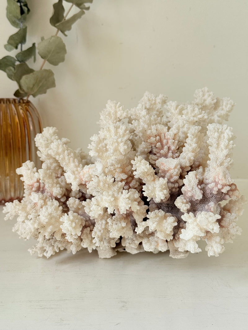 Large vintage white coral ornament with intricate texture, photographed on white surface