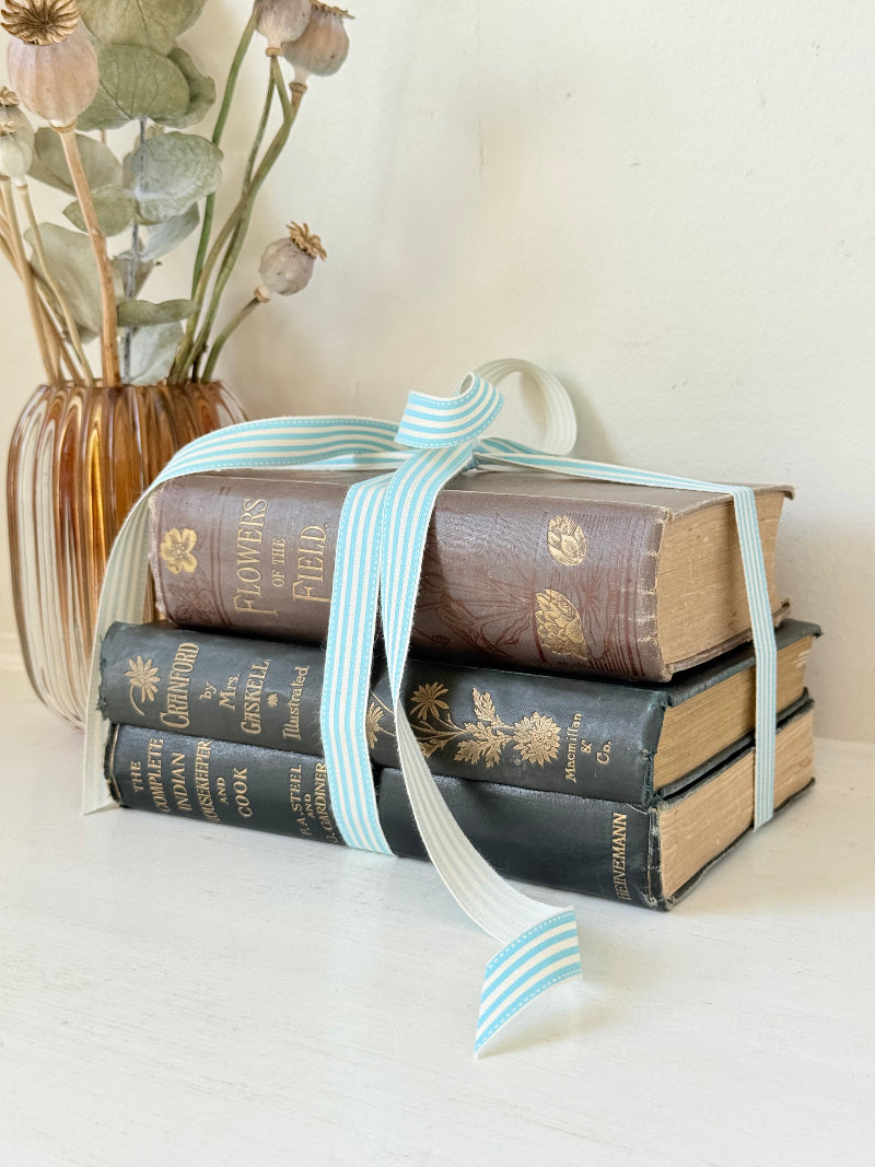 Bundle of antique books with decorative spines tied with ribbon, styled on white surface with dried flowers