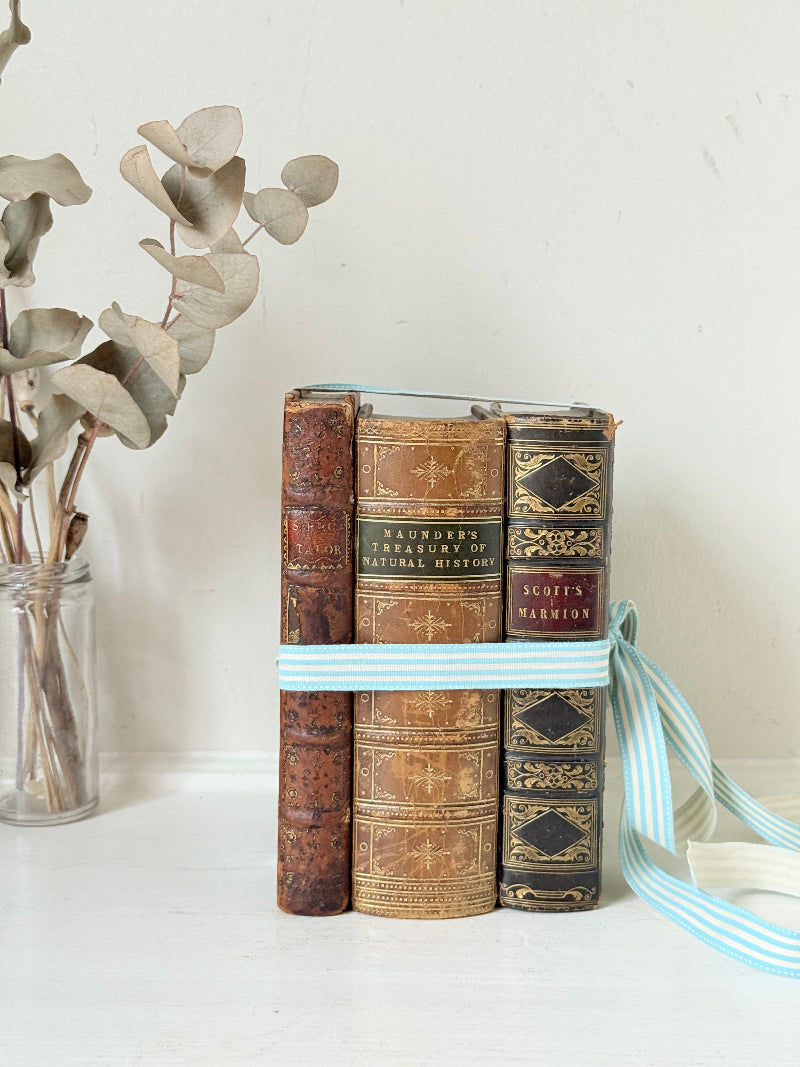Antique leather bound decorative book bundle tied with pale blue ribbon, photographed on a white surface