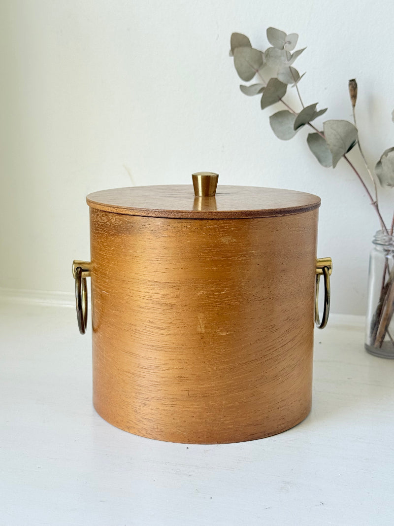 Mid century bent plywood icebox with brass handle and matching wooden tongs, styled on a white surface with dried foliage.