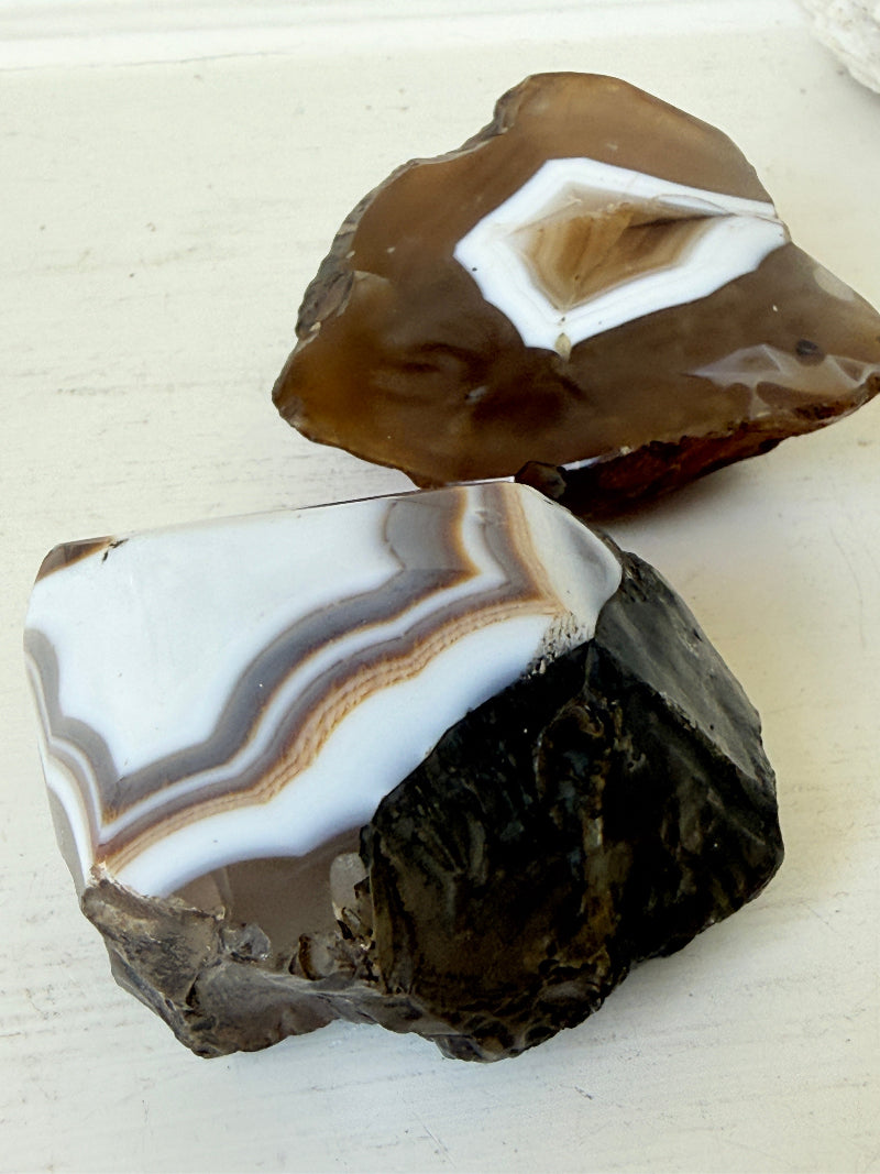 Pair of polished orca agate specimens with cream, brown and grey banding, photographed on a white surface