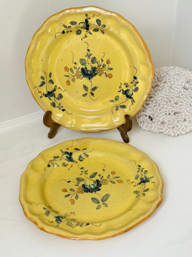 Pair of vintage yellow French faïence plates with hand painted blue floral design, photographed on a white surface