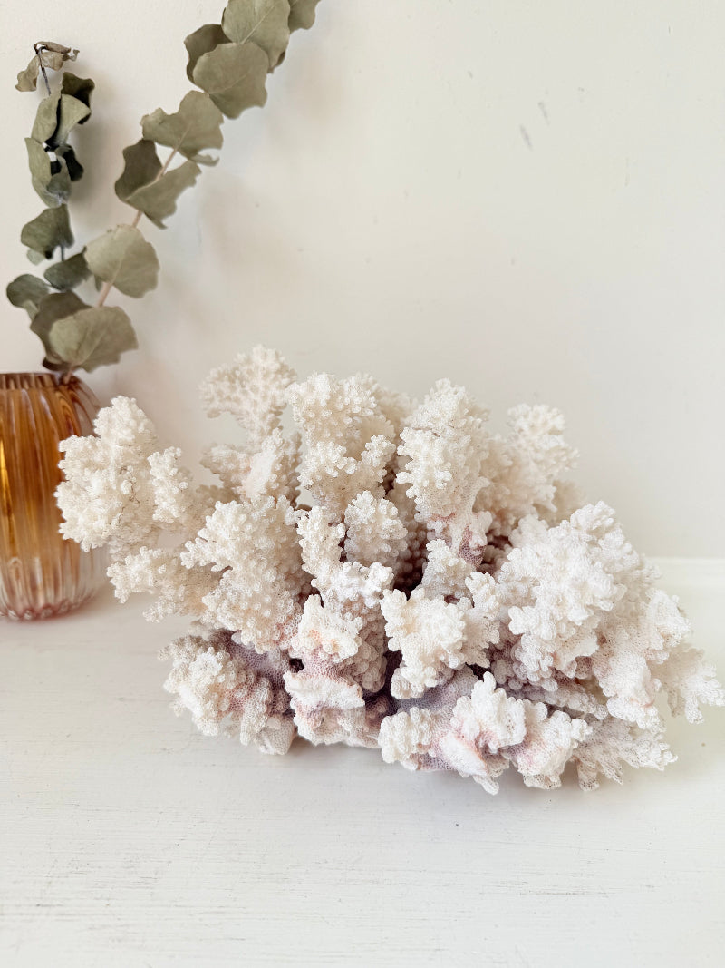 Large vintage white coral ornament with intricate texture, photographed on white surface