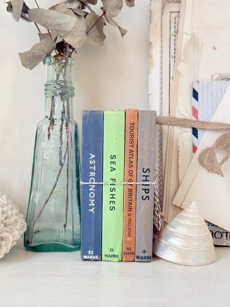 Four vintage hardcover books with blue, green, orange, and gray spines standing upright on a white surface, styled with a glass bottle, dried flowers, and a seashell.