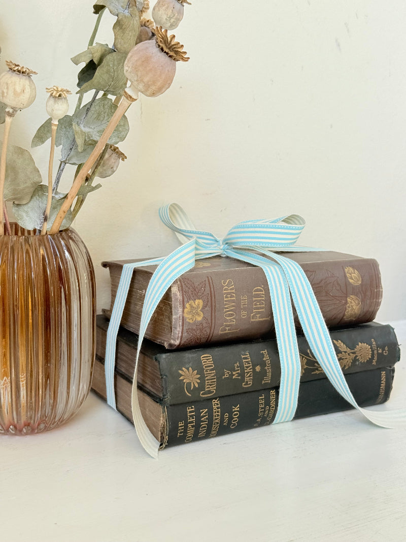 Bundle of antique books with decorative spines tied with ribbon, styled on white surface with dried flowers