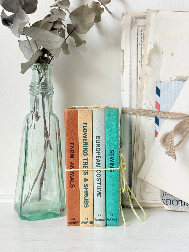 A styled tabletop scene with a clear glass bottle holding dried eucalyptus stems, next to a small set of vintage-style books with colorful spines labeled Farm Animals, Flowering Trees & Shrubs, European Costume, and Sewing. More aged papers and a twine bundle are arranged on the right against a white background.
