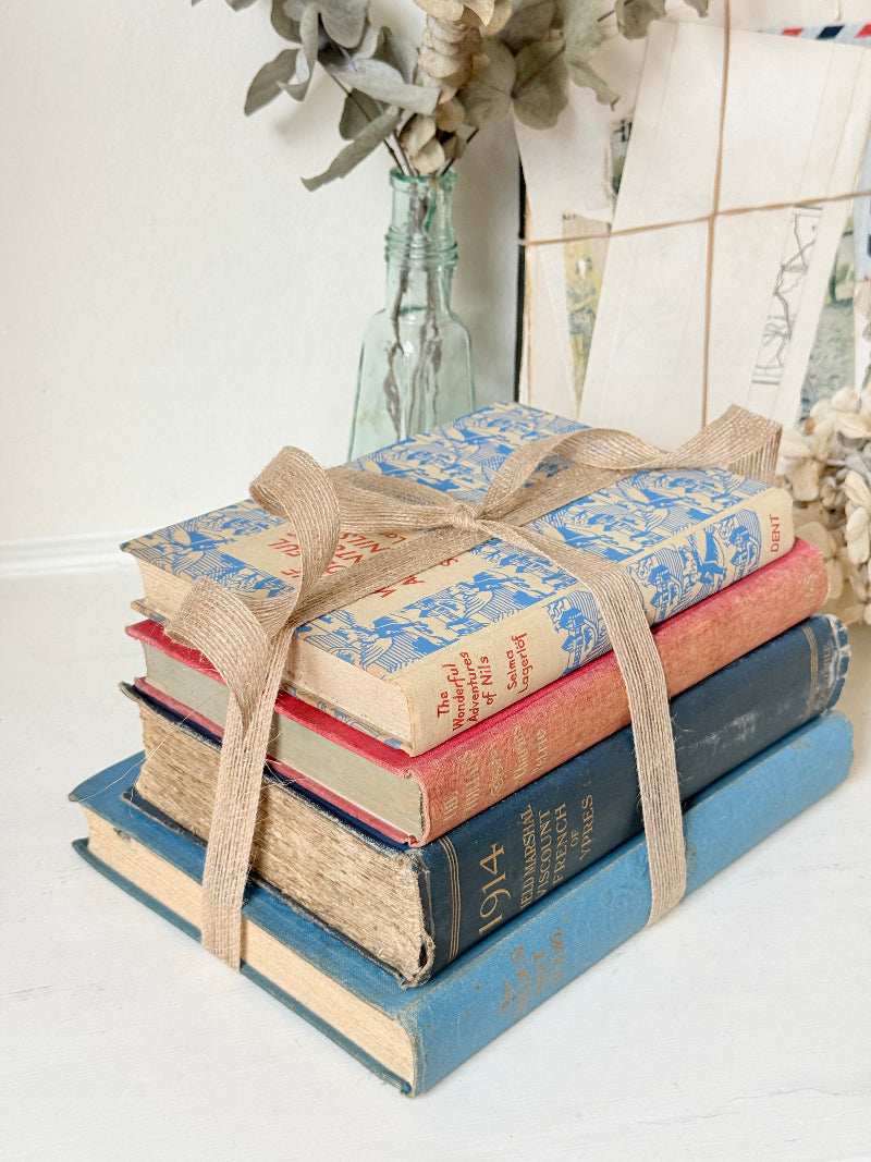 Stack of cloth bound vintage books in blue red and tan tied with jute ribbon styled with dried eucalyptus