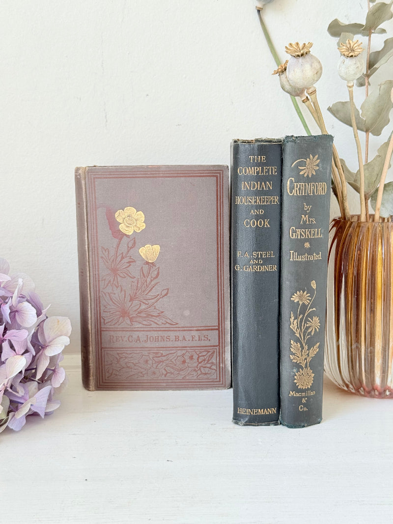 Bundle of antique books with decorative spines tied with ribbon, styled on white surface with dried flowers