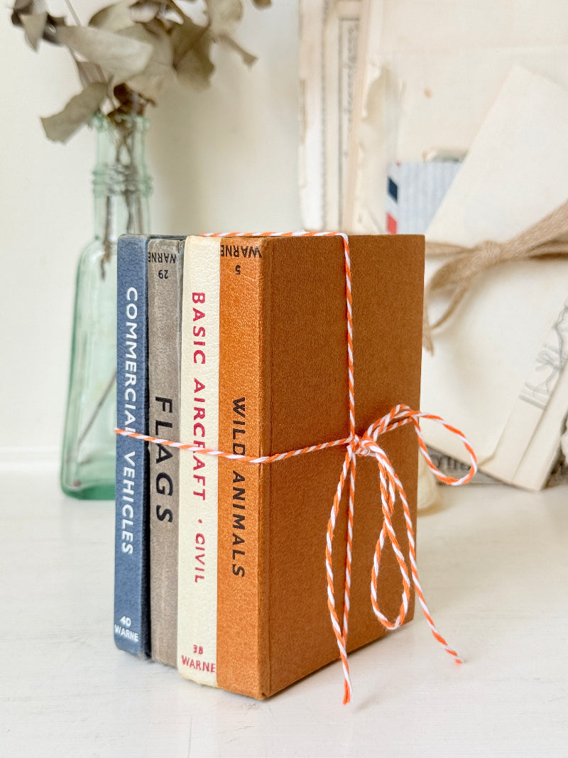A set of four decorative book spines tied together with red-and-white twine, standing upright on a white surface. The spines are labeled Commercial Vehicles, Flags, Basic Aircraft · Civil, and Wild Animals, with a small publisher mark at the bottom.