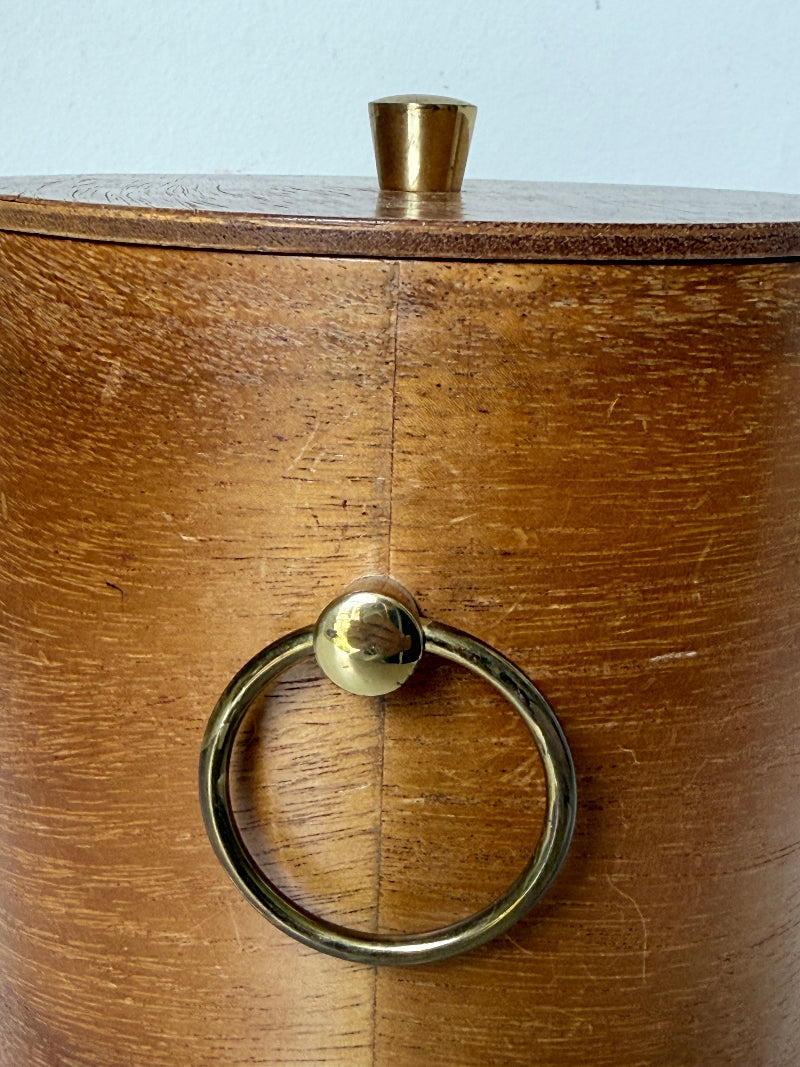 Mid century bent plywood icebox with brass handle and matching wooden tongs, styled on a white surface with dried foliage.