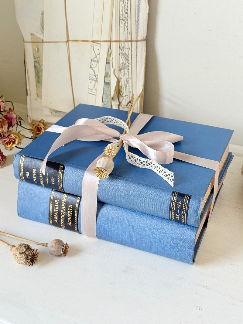 Pair of vintage Amateur Photographer books in blue cloth binding with gilt lettering tied with pale pink ribbon for shelf styling