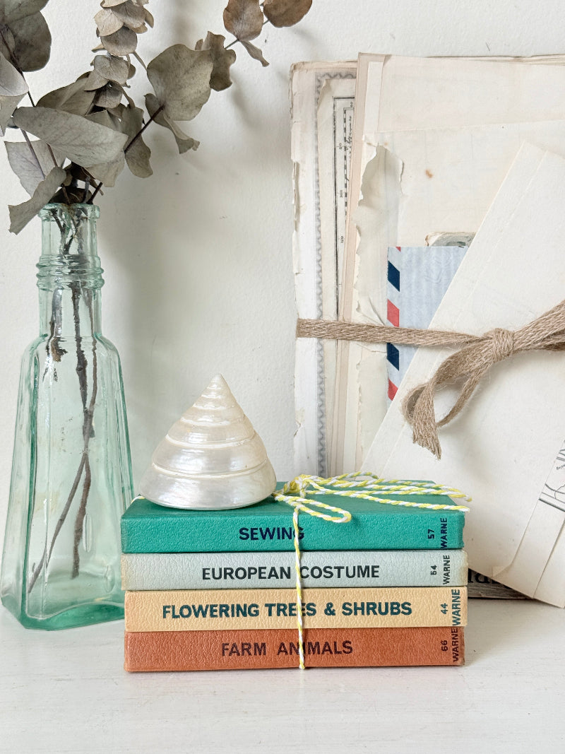 A styled tabletop scene with a stack of vintage costume-themed books tied with yellow string, a white seashell on top, a translucent blue glass bottle with dried leaves, and a cream envelope bundle wrapped in twine against a light wall.
