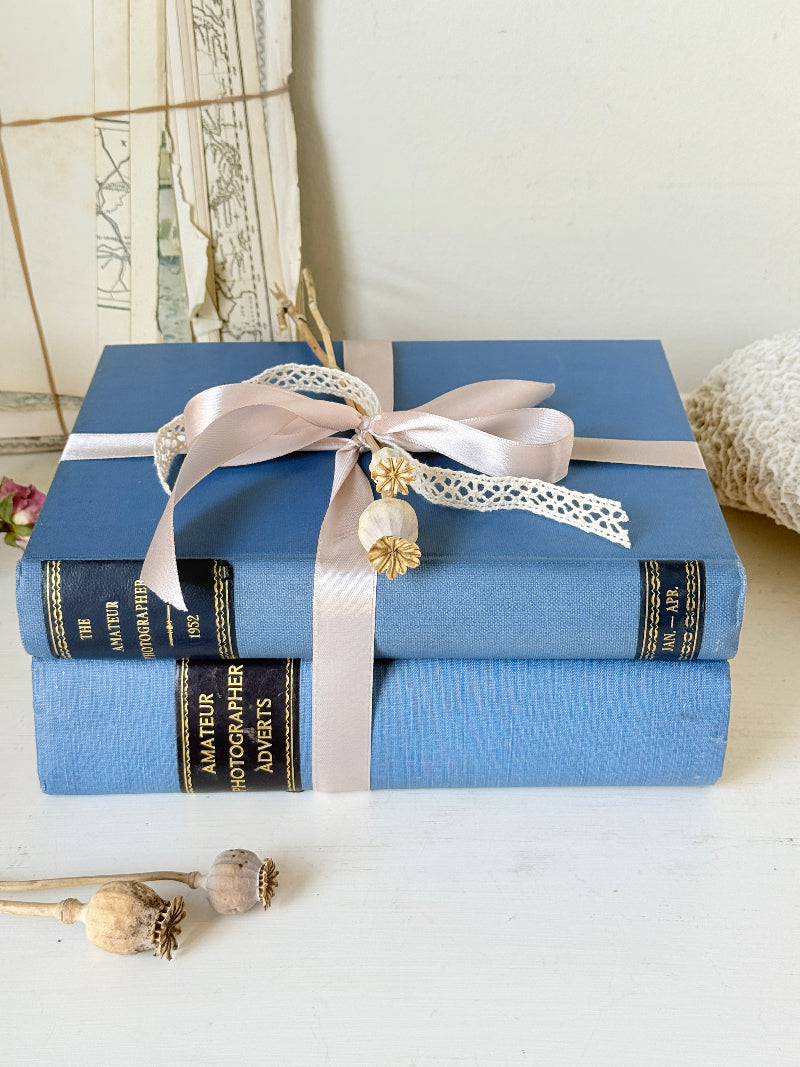 Pair of vintage Amateur Photographer books in blue cloth binding with gilt lettering tied with pale pink ribbon for shelf styling