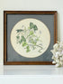 framed hand coloured botanical print of ivy and white blossoms photographed on white surface