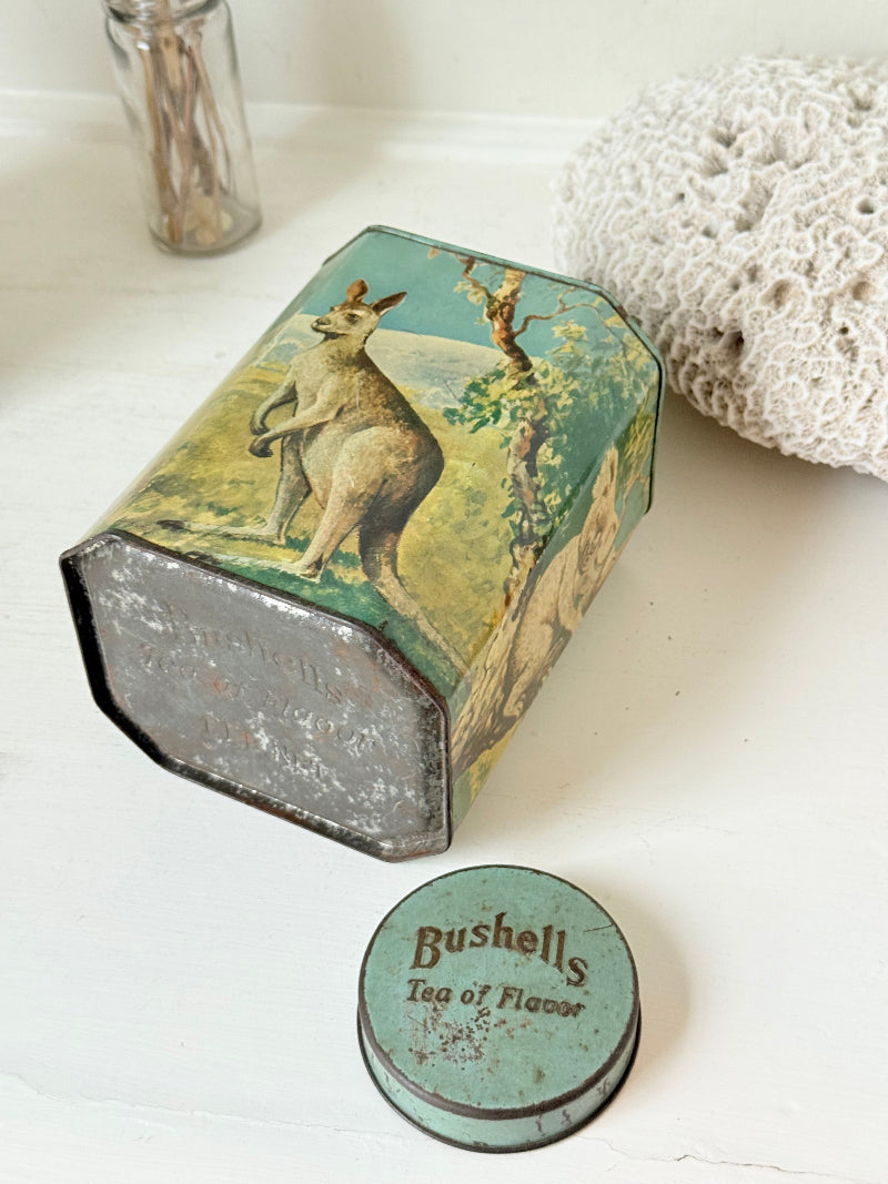 Vintage Bushells metal tea box featuring kangaroo, koala, and emu illustrations photographed on a white surface.