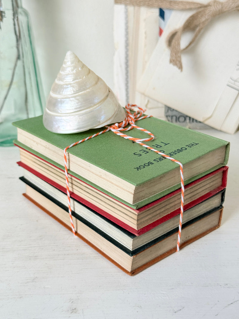 A stack of vintage hardcover books tied with red-and-white string, topped with a white seashell, photographed on a light tabletop with a soft, styled background.