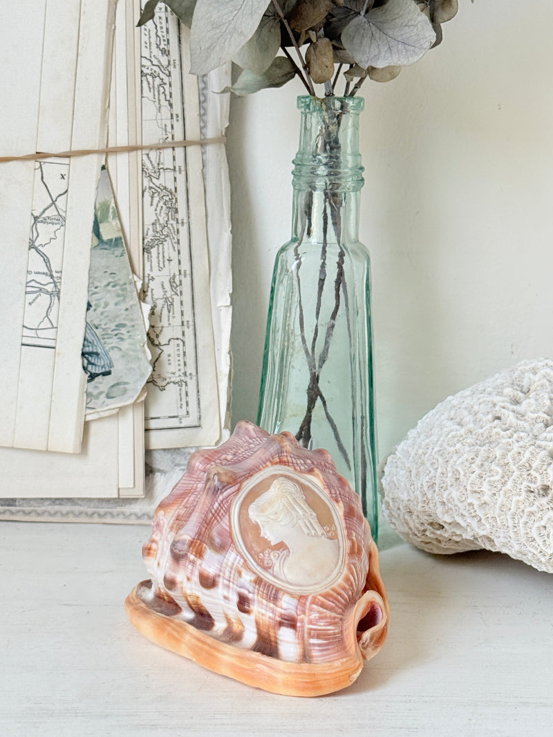 Hand carved cameo helmet shell with a classical female profile in pale relief on pink and brown