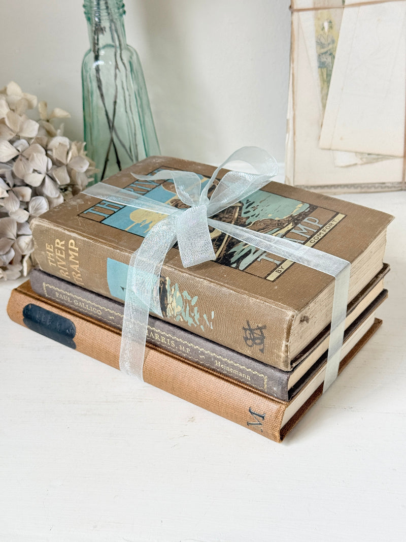 Bundle of vintage hardback books in brown, tan and navy tied with a pale blue satin ribbon for shelf and table styling
