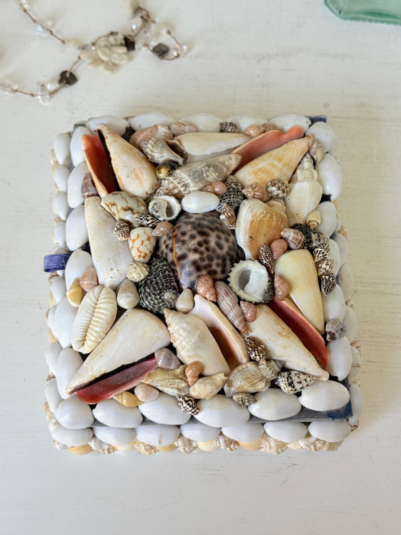 A square decorative tray or box covered with assorted seashells and small stones, arranged on a light neutral surface.