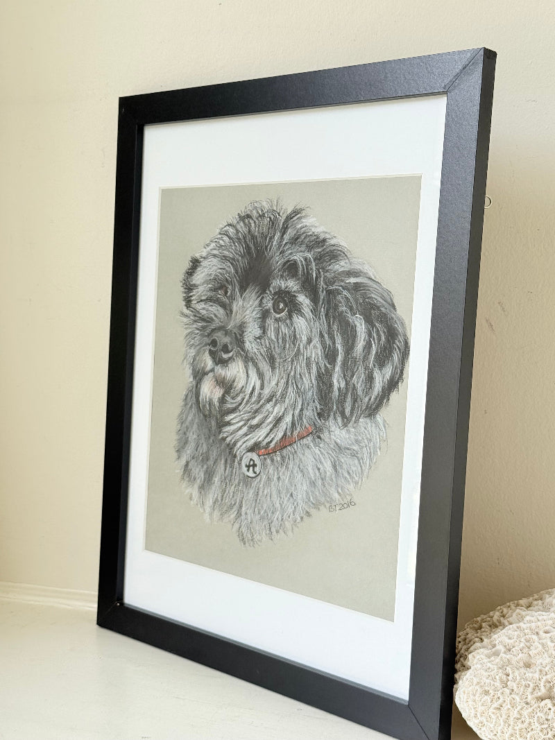 Framed pastel portrait of a shaggy dog in black frame with white mount, close-up detail of fur and eyes, photographed on white surface.