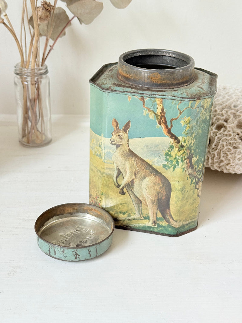 Vintage Bushells metal tea box featuring kangaroo, koala, and emu illustrations photographed on a white surface.