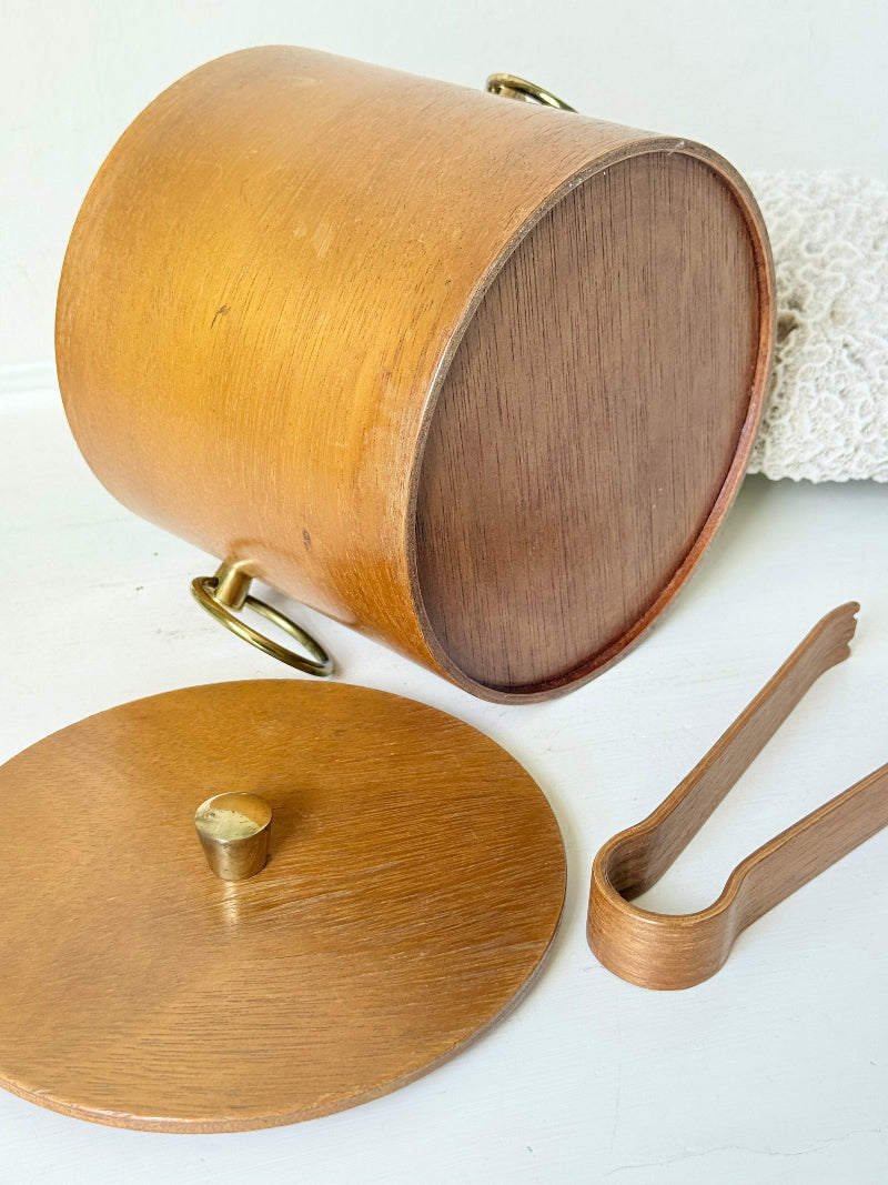 Mid century bent plywood icebox with brass handle and matching wooden tongs, styled on a white surface with dried foliage.