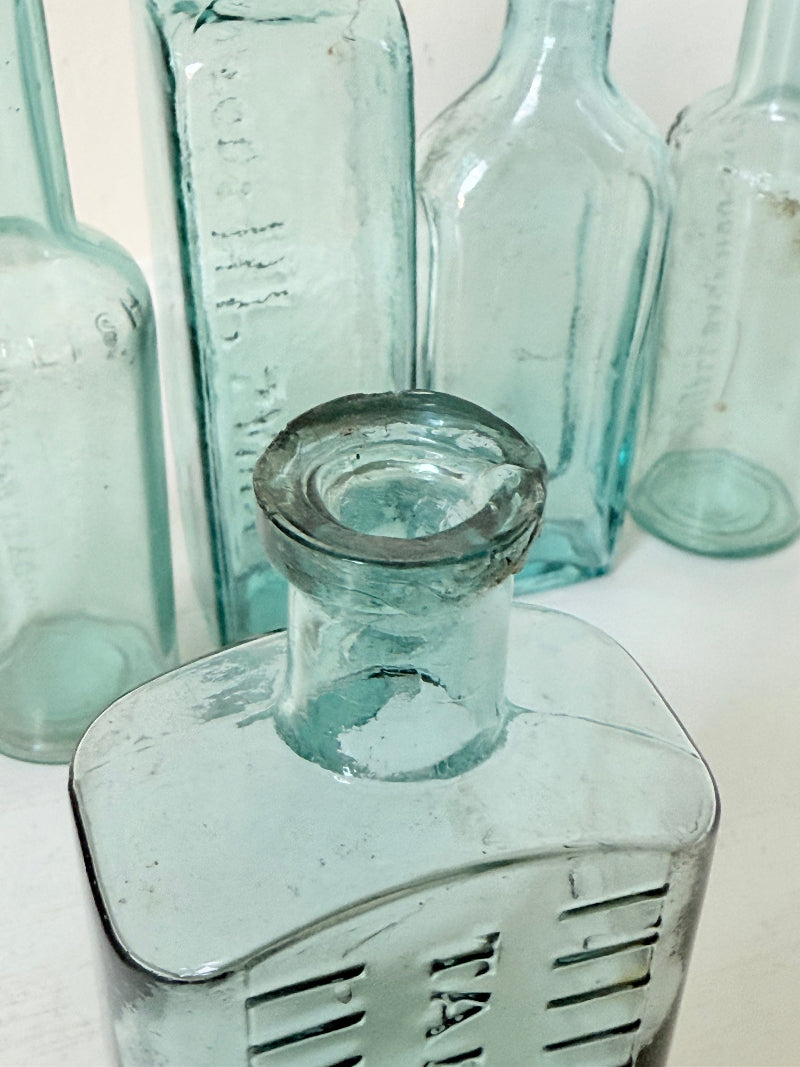 Set of five antique aqua glass bottles with embossed lettering, photographed on a white surface with dried stems