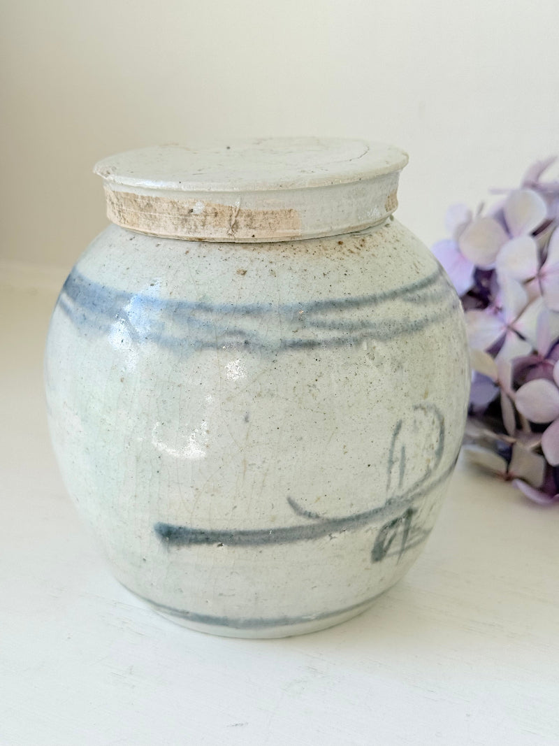 Antique Chinese ginger jar with blue brushwork, photographed on a white surface with vintage books and hydrangeas
