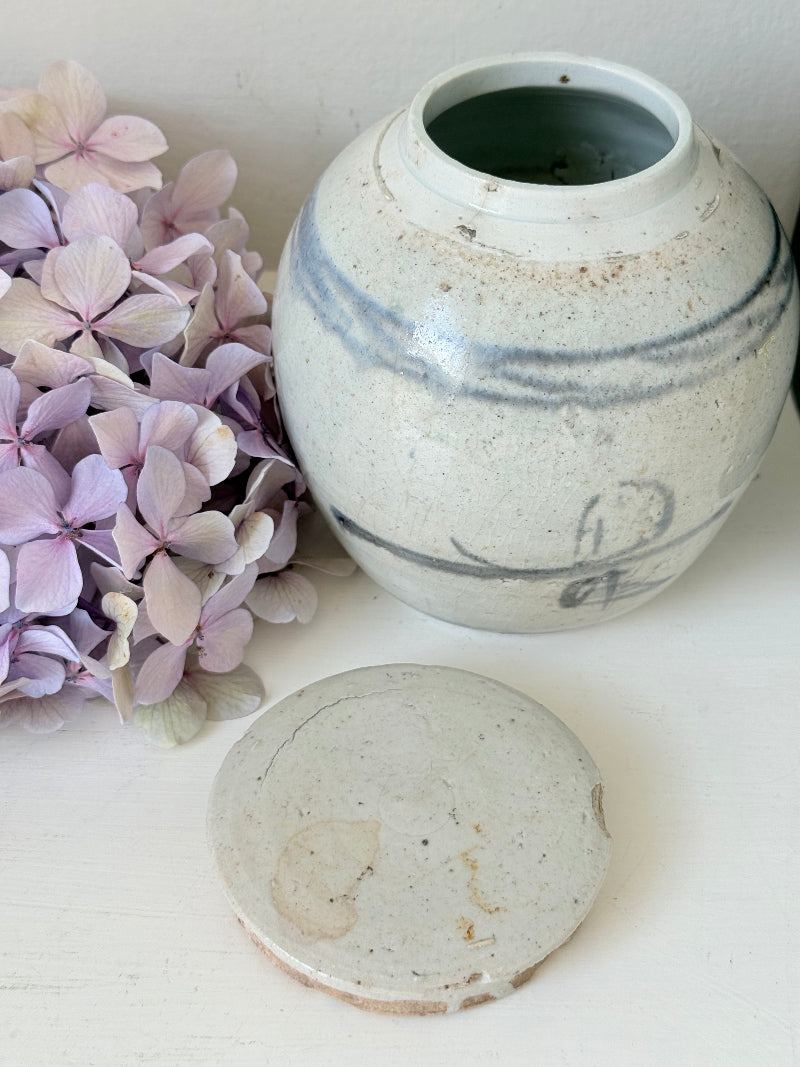Antique Chinese ginger jar with blue brushwork, photographed on a white surface with vintage books and hydrangeas