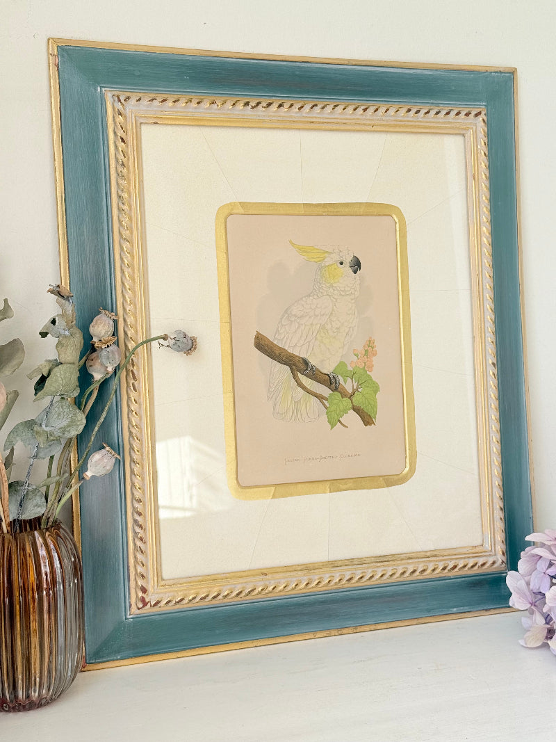 Framed cockatoo bird print in green and gold frame with mount, styled on white surface with vintage books