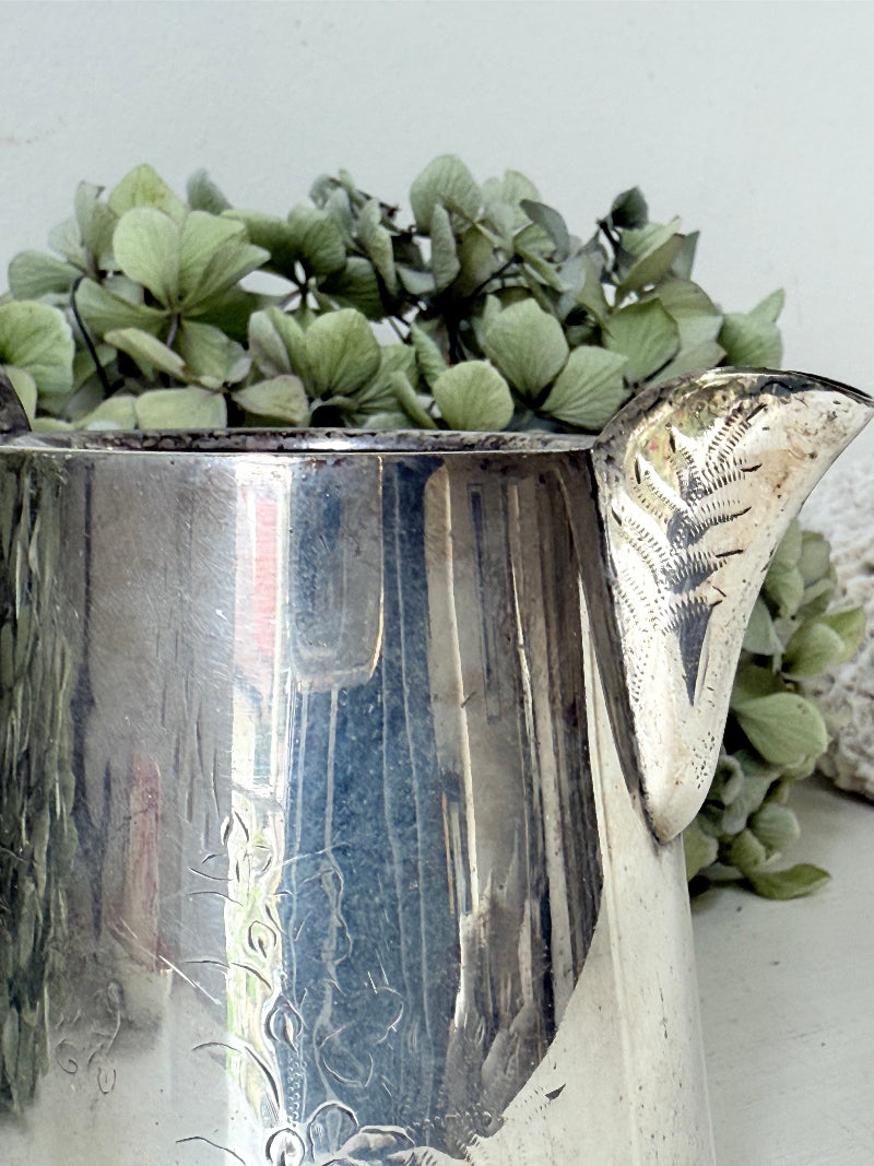 vintage silver plate jug with curved handle photographed on white surface with green hydrangeas