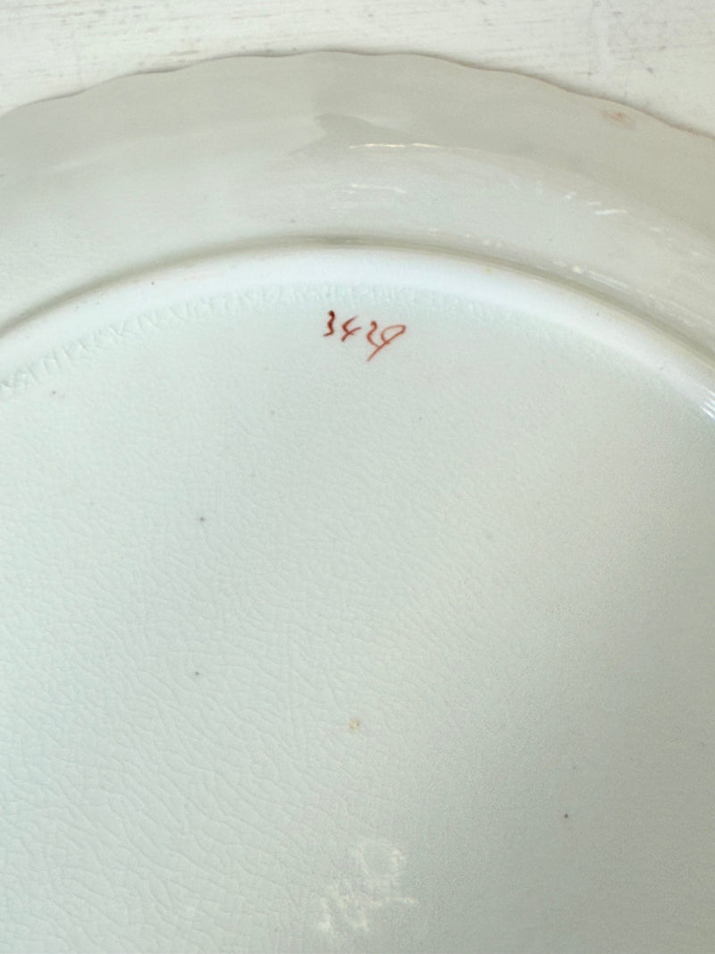 pair of vintage porcelain coral transfer plates with scalloped edges and gilt detail on white surface